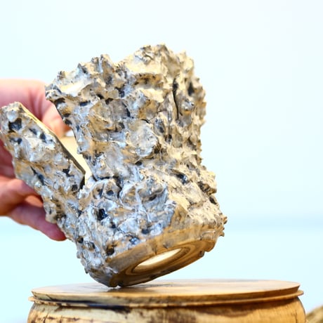 Yuta Uchida / silver rust monst / humanity pot    no.1231-81
