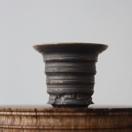 CATEGORY 2025/1/5 20:00~ | 芽の巣山