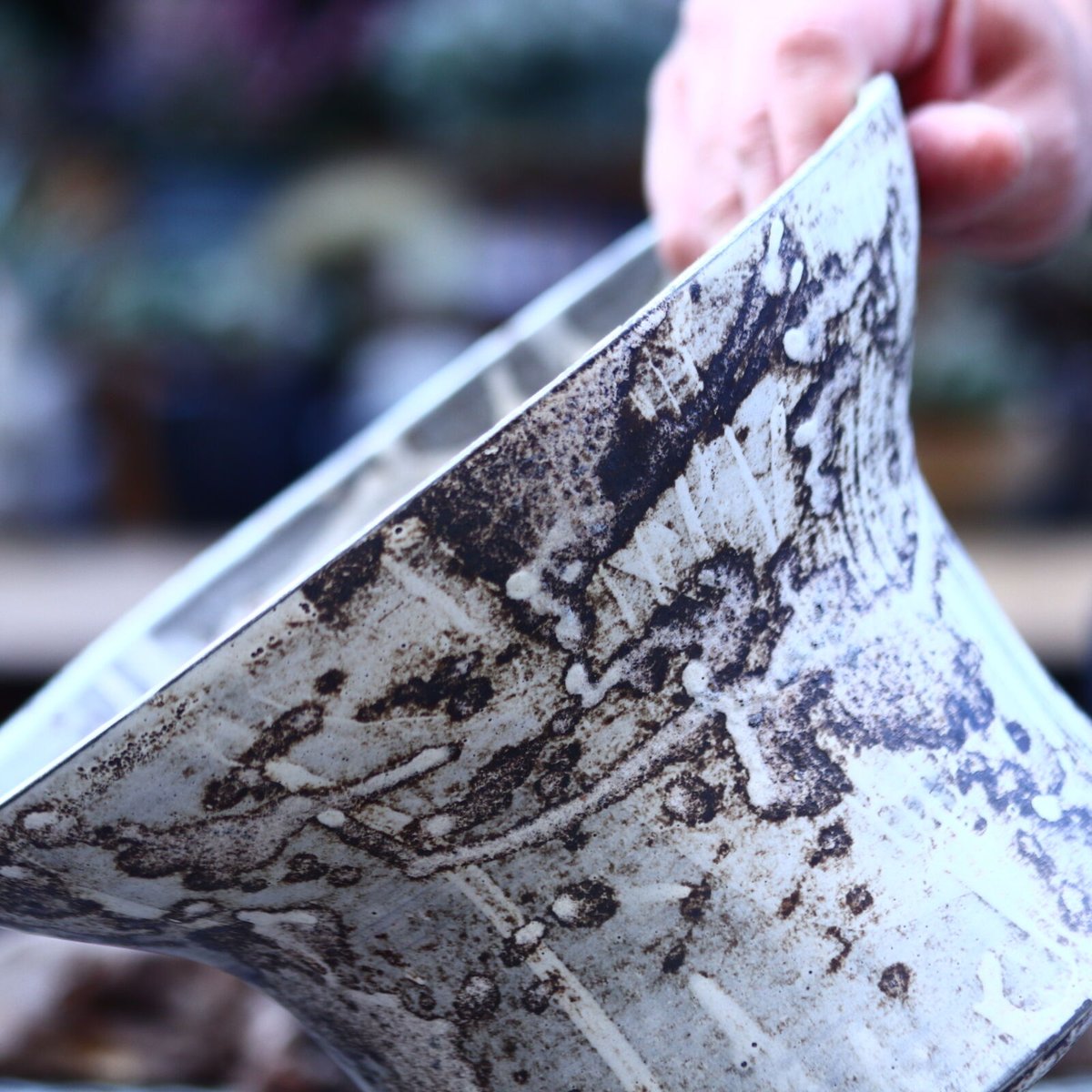 たけろうポット 大鉢 / 台形 / シロサビ no.1226-06 | 芽の巣山