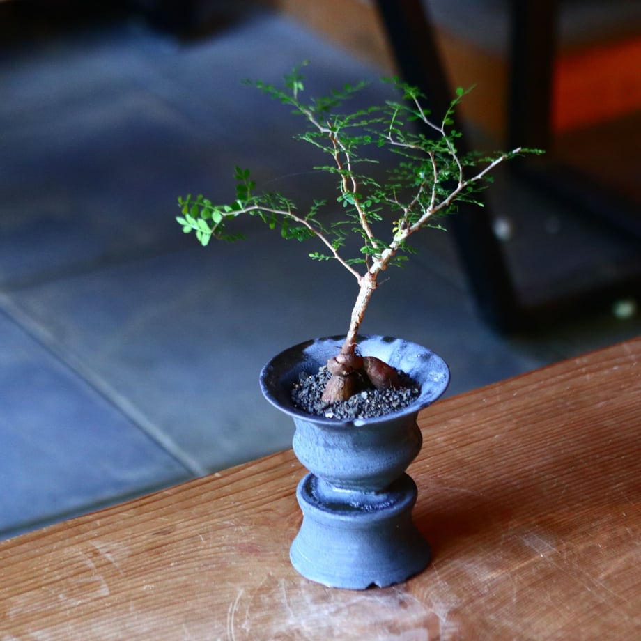 5f37ca64d3f16749f0c6650e