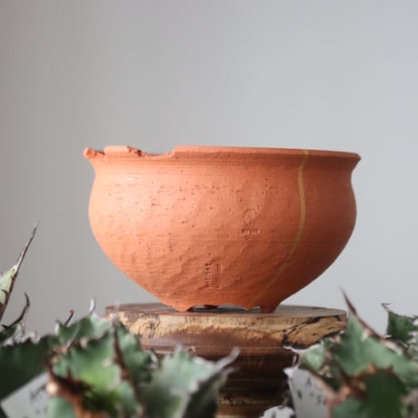 N/OH / コロ鉢 / persimmon + Line / S   no.421-122
