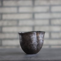 たけろうポット〝 tsubos ″ tetsu no.830135 | 芽の巣山