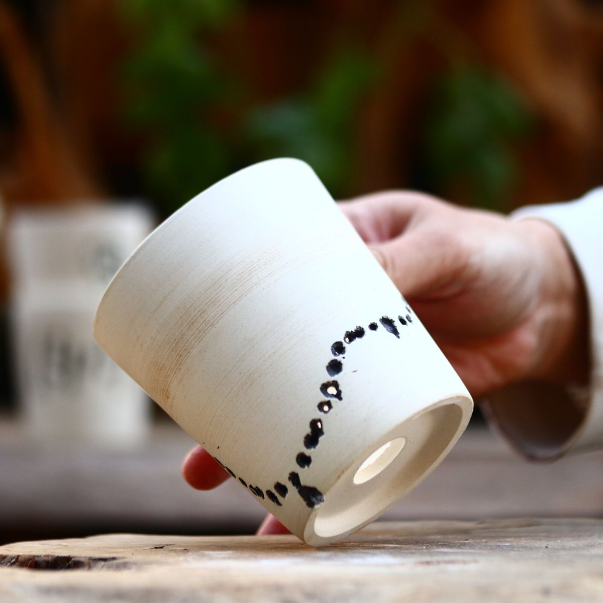 たけろうポット/ハク/ムシクイ/シリンダーL no.219-128 | 芽の巣山