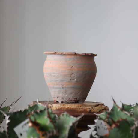 N/OH / MARBLE NOHBLE / コロ鉢 / SS   no.421-51