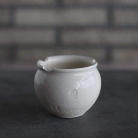 CATEGORY 2.5号鉢 | 芽の巣山