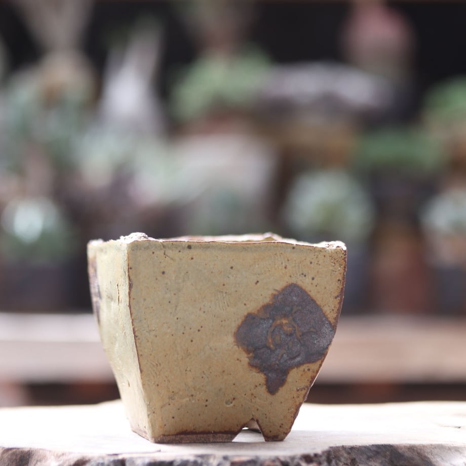 6337f8a1c92c5d46a33e405d