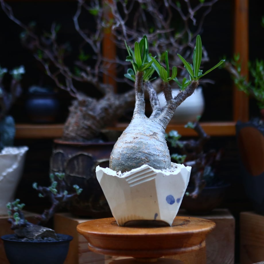 614edbb3acbcb03aea5b8513