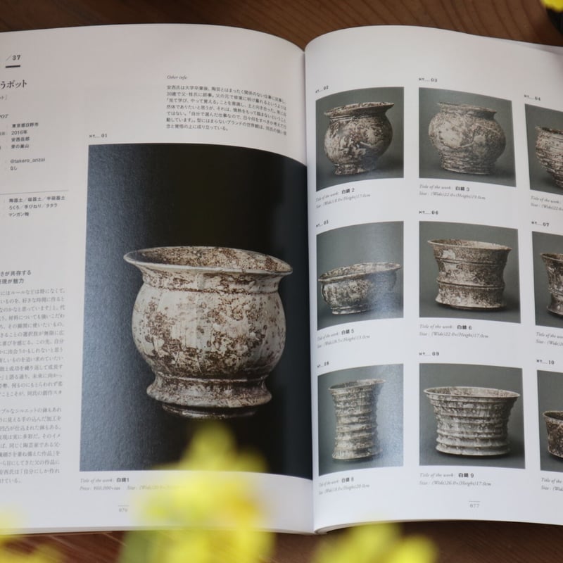 THE POT -現代植木鉢図鑑-produced by Kazuaki Ishii | 芽の巣山