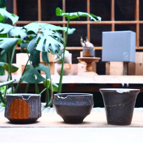 CATEGORY N/OH | 芽の巣山