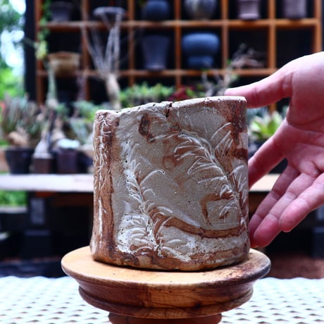 Mie  Maeda 〝seals″   /   humanity pot       no.544