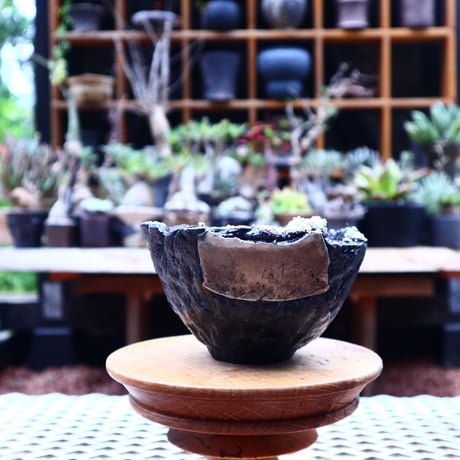 Ricca Okano 〝ruins″   /   humanity pot       no.564