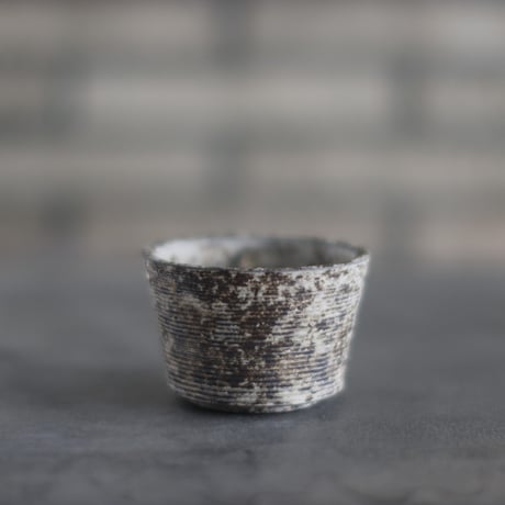 TAKERO POT / Shirosabi  (3号)   no.803-29