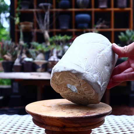 Mie  Maeda 〝seals″   /   humanity pot       no.542