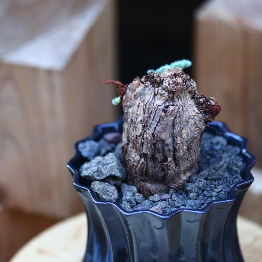 622d3f47484145382671d1c3