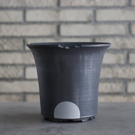 CATEGORY 大鉢 | 芽の巣山