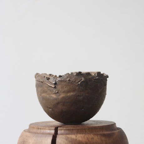 たけろうポット　ちぎり　カリウド　サイズL CATEGORY 2025/2/16 20:00~ | 芽の巣山