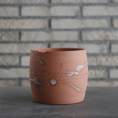 CATEGORY 5号鉢 | 芽の巣山