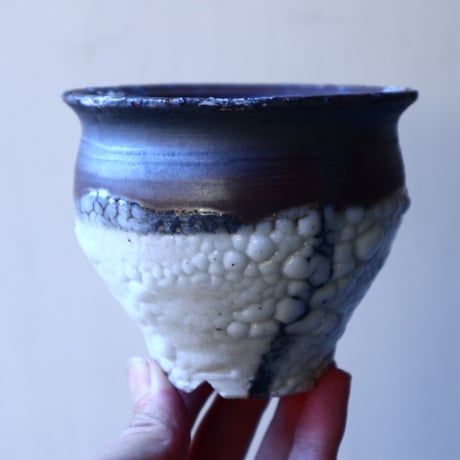 HAKASEPOT   SHIROTSUBU  /  black     no.21624