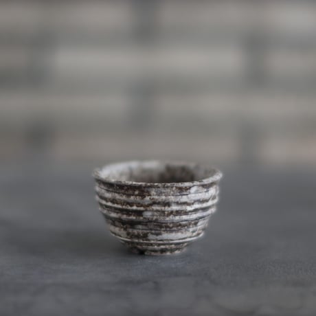TAKERO POT / Shirosabi  (2.5号)   no.803-45