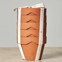 アガベ ボビコルヌータ カウズホーン／Agave bovicornuta 'Cows Ho