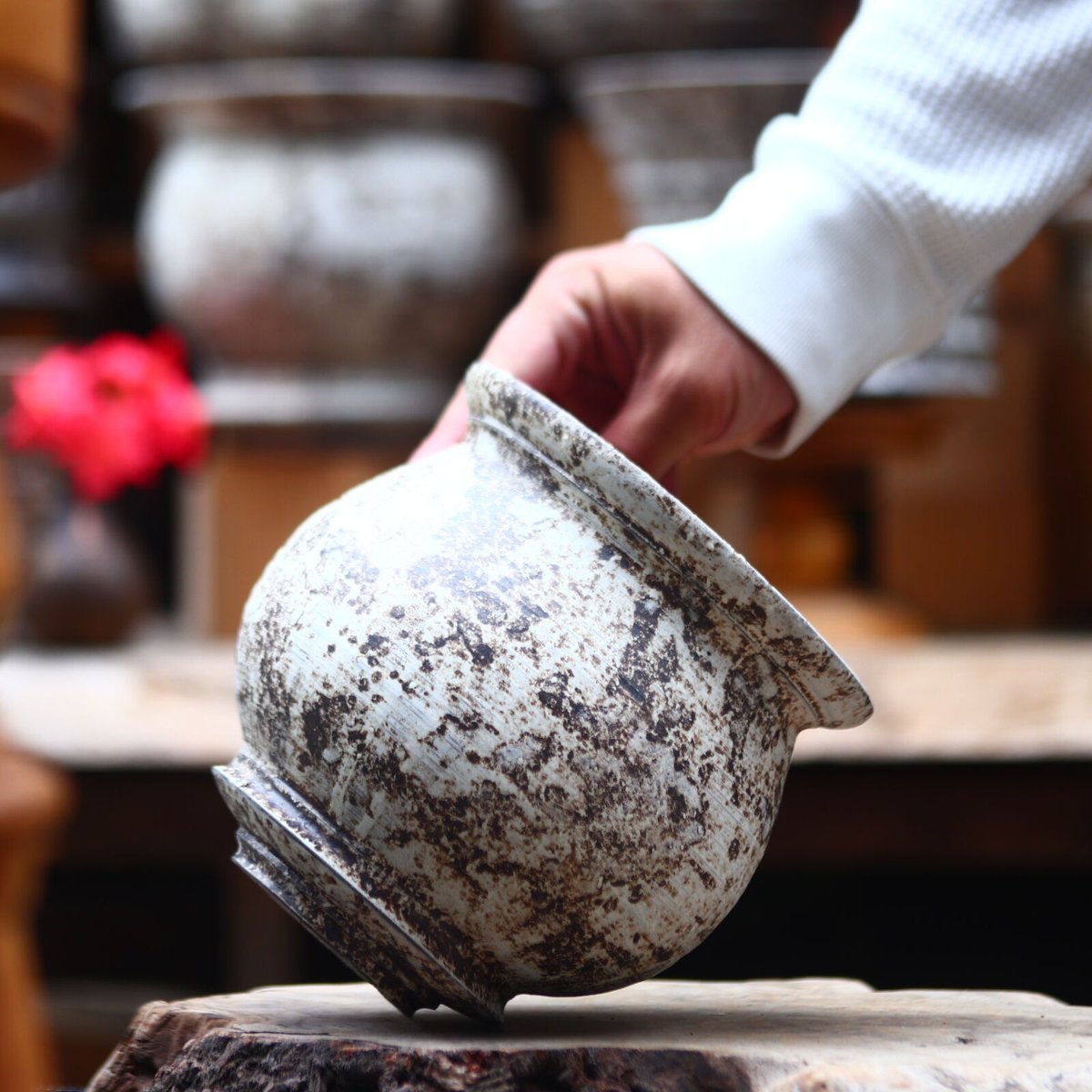 たけろうポット / 大鉢 / シロサビ たけろうポット / 大鉢 / シロサビ no.612-T03 | 芽の巣山