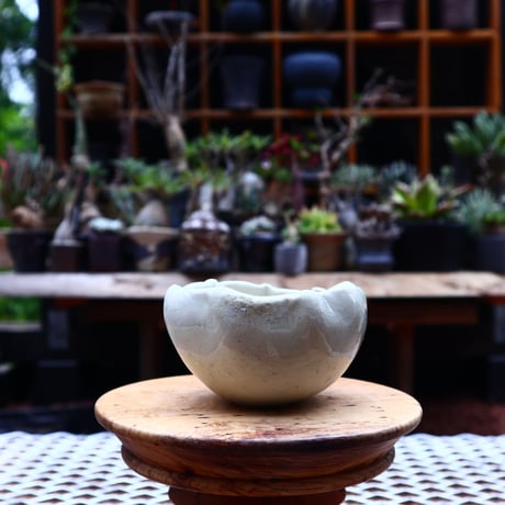 Mie  Maeda 〝blanco″   /   humanity pot       no.534
