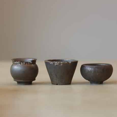 CATEGORY 小鉢 | 芽の巣山