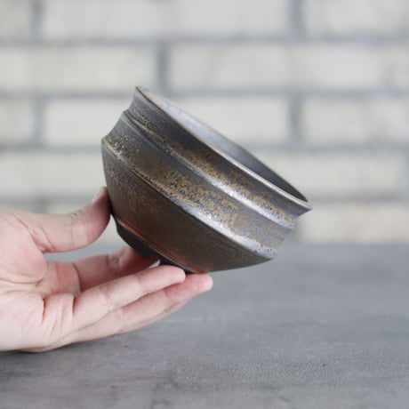 Yuta Uchida / gold rust (4号鉢)  no.125-12