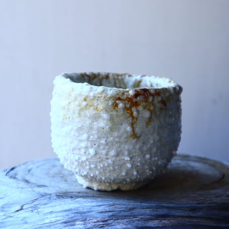 HAKASEPOT   SHIROTSUBU  /  ivory     no.21604