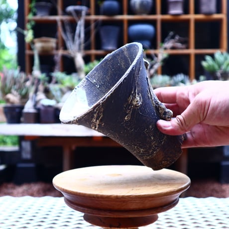 Masato  Akutsu 〝graffito″   /   humanity pot       no560