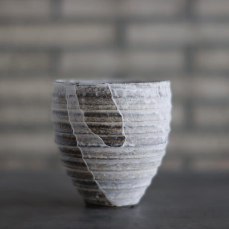 CATEGORY 4号鉢 | 芽の巣山