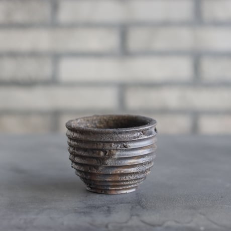 CATEGORY 3号鉢 | 芽の巣山