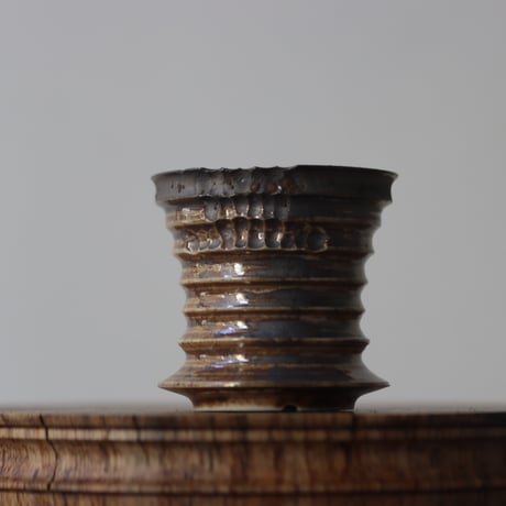 CATEGORY 2025/1/5 20:00~ | 芽の巣山