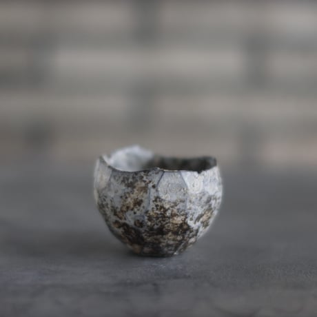 TAKERO POT / Shirosabi  (2.5号)   no.803-111