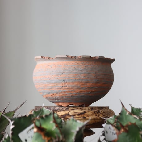 N/OH / MARBLE NOHBLE / コロ鉢 / S   no.421-37