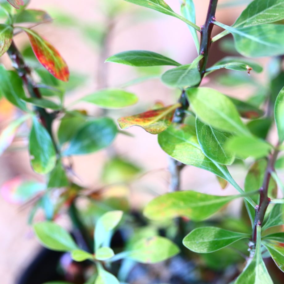 64573f6f39cb4e0031a4af49