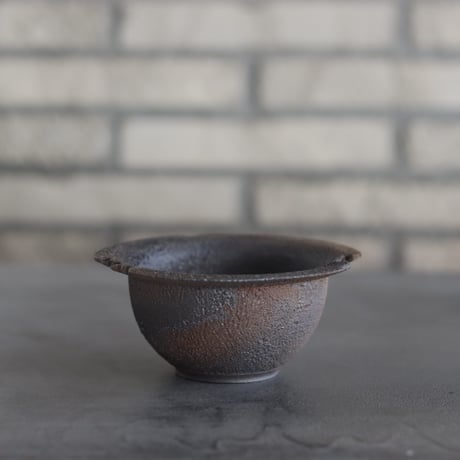 CATEGORY たけろうポット | 芽の巣山