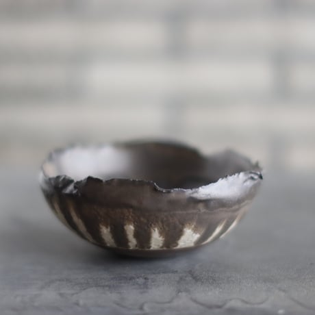 たけろうポット / 大鉢 / シロサビ+ミドリ【イベント限定鉢】(A) CATEGORY たけろうポット | 芽の巣山