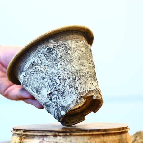 Masato Akutsu / graffito / humanity pot    no.1231-87