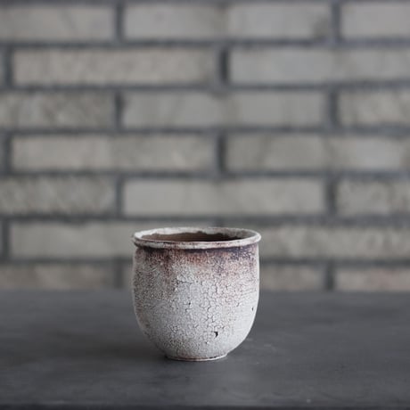 CATEGORY website up | 芽の巣山