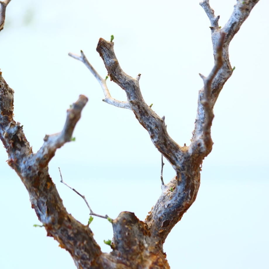 64953f24a2895b0035f09068