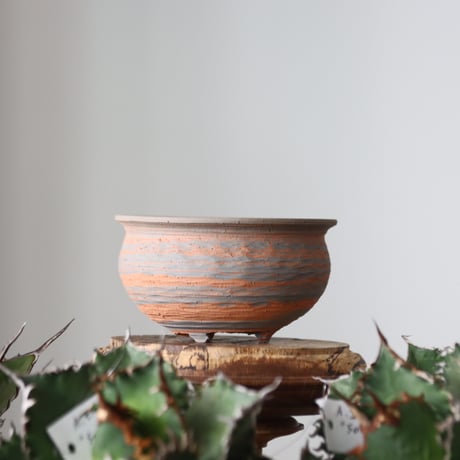N/OH / MARBLE NOHBLE / コロ鉢 / SS   no.421-44