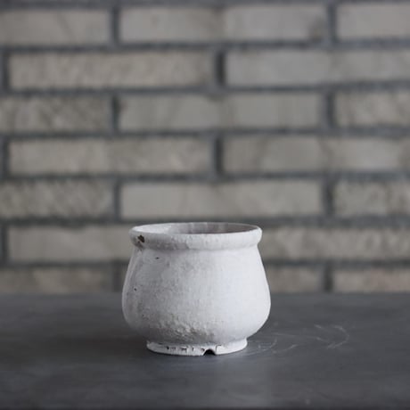 CATEGORY 3.5号鉢 | 芽の巣山