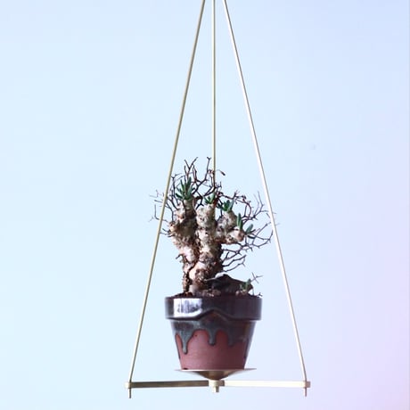 'YAMADAI' / HANGING TYPE   no.204-3