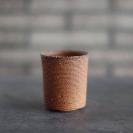 Takero Anzai × Tomoharu Nakagawa / 山山 薪窯特別共作鉢 (2.5号) no.1012-8
