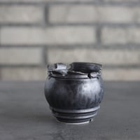 takero pot / mushikui / テツ (2.5号)  no.531-57