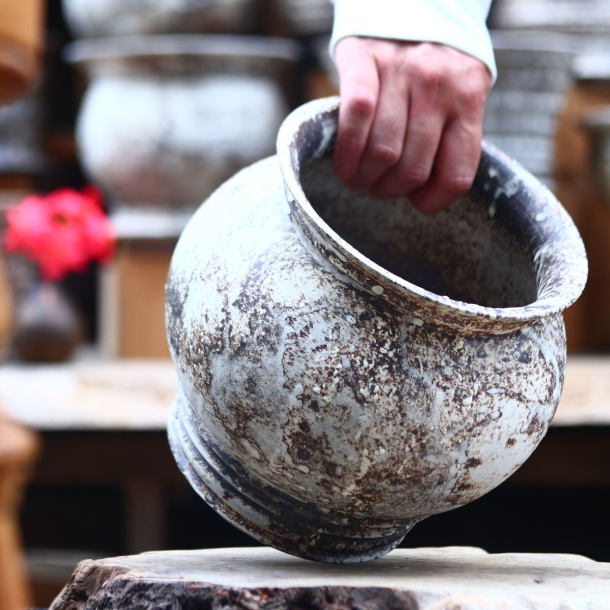 たけろうポット / 大鉢 / シロサビ no.612-T09 | 芽の巣山