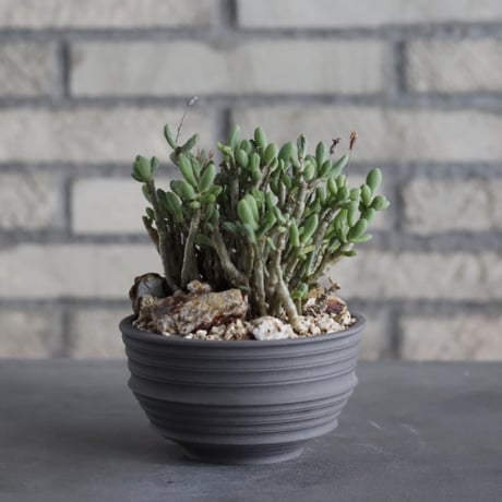 芽の巣山 MENOSYAMA ポット 長 中白茶 M Pottery by wood アンティーク