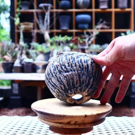 Ricca Okano 〝moon moon″   /   humanity pot       no.569