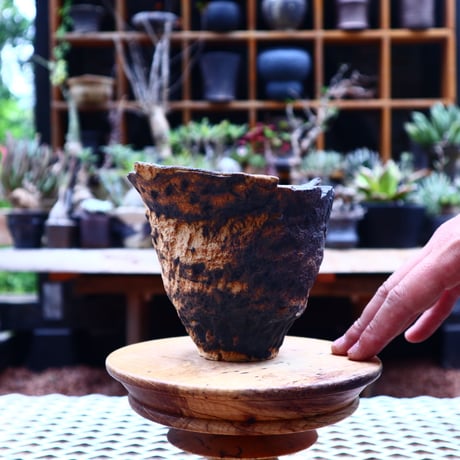 Ricca Okano 〝solaris″   /   humanity pot       no.561